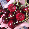 Chilean cherry crispy sweet imported fruit gift box for pregnant women 250g (net weight) 2J super cost-effective 28-30mm super sweet