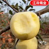 Jingdida Shandong Cream Fuji Apple Selected 8 Jin Fruit King Single Fruit 85mm + Direct Shipping from Source