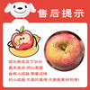 Territory Caihong Authentic Shaanxi Red Fuji Apple Fruit Seasonal Crisp Sweet Ugly Apple Fresh Pregnancy Fruit Whole Box Selected 14-16 Pieces Tasting Pack Naturally Ripe Small Fruit Crisp, Sweet and Juicy