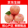 Territory Caihong Authentic Shaanxi Red Fuji Apple Fruit Seasonal Crisp Sweet Ugly Apple Fresh Pregnancy Fruit Whole Box Selected 14-16 Pieces Tasting Pack Naturally Ripe Small Fruit Crisp, Sweet and Juicy