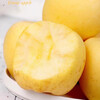 Dalian Golden Cream Fuji Apple Special Grade Authentic Seasonal Fruit White Fresh Season Picked Full Box Full Box 5 Jin 80-85mm