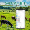 Zhenjiang cattle and sheep locator for grazing in Mashan District to prevent loss of livestock and animal monitoring and tracking tracking device GPS solar