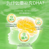 DSM source quality dha infants 0-3 years old children and students DHA algae oil 60 capsules * 3 pieces
