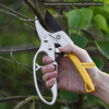Jinggu purchase products new electric pruning shears, fruit tree pruning shears, rechargeable lithium battery pruning shears, garden segmented pruning shears