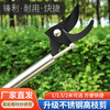 Jinge feather locust flower shears, high branch shears, pruning shears, stainless steel pruning, garden thinning flowers and thin fruit pruning, locust rice extension pole, high-altitude shears, pruning saw, 2.3 meters extension, 4 meters + saw blade gift