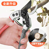 Jin Geyu Japanese original scissors, pruning shears, gardening scissors sk5, special scissors for pruning flowers and branches, fruit tree thick branch scissors, S type black blade scissors + heavy-duty pruning shears