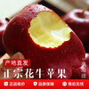 Uncle Sam Huaniu Apple Flash Delivery Gansu Tianshui Noodles Apple Fruit Gift Box Snake Fruit New Year's Day Sweetness Upgrade Fruit King 80-85mm 9 catties Best Deal - All-you-can-eat for the whole family Net 8.5 catties