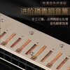 Dongfangding German imported gongs 28-hole polyphonic harmonica twelve-key accent C key high-end adult professional performance instrument 28-hole C key golden polyphony