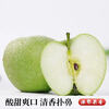 Shandong Apple Aomori Green Apple, sour, crisp, juicy, fresh seasonal fruit for pregnant women and children, whole box orchard, 2 catties in box (60-65mm)