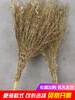 Bamboo broom, large broom, large old-fashioned road broom, courtyard outdoor factory workshop special soil broom, small broom, large broom, one-piece thickened dense leaves 4 catties 2 meters sweeping ash leaves (non-divided 16