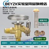 Refrigerator air conditioning cold storage TF type right angle internal balance R22/R410/134A throttling thermal expansion valve R134A valve body with (core 2) free nut