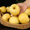 Beijing Fresh Shandong Cream Fuji Apple, net weight 8 pounds, single fruit 85-90mm, fresh fruit, direct shipping from the source, free shipping