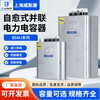 Shanghai Viscon compensation parallel power capacitor BSMJ0.45-20-3 0.4-30-3 40 15Kvar royal blue BSMJ0.69-60-3