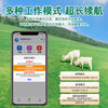 Zhenjiang cattle and sheep locator for grazing in Mashan District to prevent loss of livestock and animal monitoring and tracking tracking device GPS solar