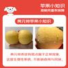 Jingxiansheng Shandong Yantai Huang Yuanshuai apples are sour and sweet. Net weight is 3 pounds. Single fruit is 75-80mm. Direct shipping from the source. Free shipping.