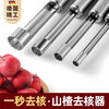 Yichen Hawthorn Core Remover New 304 Stainless Steel Household Red Date Hawthorn Core Date Core Oil Mandarin Candied Haws Core Remover 304 Small + Large Size