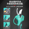 Yingtang Ruishi Dayi electric scissors rechargeable garden fruit tree pruning shears tree lithium electric branch shears German brushless 2024 model branch shears bare machine