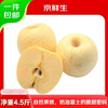 Jingxiansheng Shandong Golden Cream Fuji Ugly Apple, net weight 4.5kg, single fruit 210g+, seasonal and fresh, straight from the source