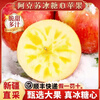 Yingtang Authentic Xinjiang Aksu Rock Candy Apple Red Flag Slope Red Fuji Apple Fresh Pregnant Women Fruit Gift Box Full Box 9 Jin Large Fruit 85-90mm Family Pack