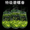 Yuefeng Special Biluochun Fragrance Green Tea 2025 New Tea Before the Rain Spring Tea Young Buds Tea for Yourself Drinking Gift Can 500g