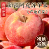 Yingtang Authentic Xinjiang Aksu Rock Candy Apple Red Flag Slope Red Fuji Apple Fresh Pregnant Women Fruit Gift Box Full Box 9 Jin Large Fruit 85-90mm Family Pack