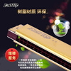Dongfangding German imported gongs 28-hole polyphonic harmonica twelve-key accent C key high-end adult professional performance instrument 28-hole C key golden polyphony