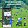 Zhenjiang cattle and sheep locator for grazing in Mashan District to prevent loss of livestock and animal monitoring and tracking tracking device GPS solar