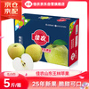 Goodfarmer Shandong Wanglin Apples 5kg, 9-12 pieces, Freckled Beauty, Rare Variety, Fresh Gift Box