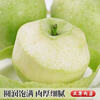 Shandong Apple Aomori Green Apple, sour, crisp, juicy, fresh seasonal fruit for pregnant women and children, whole box orchard, 2 catties in box (60-65mm)