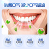 Pien Tze Huang Toothpaste Porcelain Polishing Toothpaste Fresh Breath Teeth Shine Cleansing Removes Tooth Stains Smoke Stains Gardenia Leaves Orchid 105g