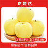 Jingdida Shandong Cream Fuji Apple Selected 8 Jin Fruit King Single Fruit 85mm + Direct Shipping from Source