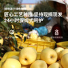 Jingdida Shandong Yantai Golden Venus Apple, 4.5 catties net, single fruit 70-75mm, direct shipping from source, free shipping