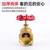 Cast solid brass stop valve water pipe valve home main valve switch tap water gate valve heavy duty DN20/6 points