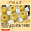 Jingxiansheng Shandong Golden Cream Fuji Ugly Apple, net weight 4.5kg, single fruit 210g+, seasonal and fresh, straight from the source