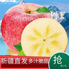 Aksu Rock Candy Heart-Chou Apple Crisp, Sweet and Juicy Aksu Apple 1 piece 70mm-79mm