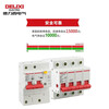 Delixi Electric Air Switch High Power Current Household Circuit Breaker Short Circuit Protector DZ47-125 2P li(C) 80A