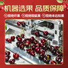 Pu Lian Chile imported cherries 5kg 4J grade gift box optional, next day delivery to multiple places, cherry fruit New Year gift 2.5kg (net weight) classic original box gift box, preferred large fruit 2J grade 28-30mm 80% choice