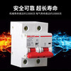 Delixi Electric Air Switch High Power Current Household Circuit Breaker Short Circuit Protector DZ47-125 2P li(C) 80A