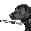 LittlearthNFL leash polyester anti-slip