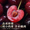 Xiaohanwa Chilean cherries 5kg4J optional, next-day delivery to multiple places, imported large cherry fruit Spring Festival gift box, 4kg (net weight), 5kg in box, family pack, high-end gift box, premium fruit J 26-28mm