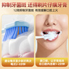 Pien Tze Huang Toothpaste Cleanses and Protects Gums, Cool Mint 75g + Premium Spearmint 75g + Essence Mint 75g