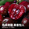 Jingyu Chilean cherries 4J grade JD/SF - next-day delivery to many places 5kg cherry fruit New Year gift box 5kg (net weight) boutique gift box gift recommendation Big Mac 3J single fruit 30-32mm