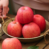Jingxian Raw Shaanxi Ruixiang Red Apple Net Weight 4.5 Jin Single Fruit 70-75mm Fresh Fruit Straight from the Source