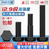 Tianzhuo Hardware Grade 12.9 high-strength external hexagonal screws bolts M5M6M8M10M12M14M16M18M20M22M24 M8*30 full thread - 10 pcs