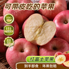 Dongdong Farm exclusively supplies Alpine Red Fuji Apple Orchard Straight Haired Ugly Apple with Thin Skin and Juicy New Fruit of the Season, 1 Jin in Box, Net Weight 0.7 Jin, 75mm