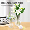 Jinlongxing glass transparent vase decoration living room flower arrangement light luxury high-end creative art hydroponic water-grown roses and tulips