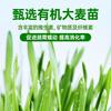 Parlmu Parlam cat grass freeze-dried cat snacks chicken cat grass granulated hair balls cat snacks biscuits catnip 80g