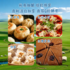 Jinshahe flour snowflake wheat flour household flour buns steamed buns dumplings hand-rolled baking white flour 10 pounds