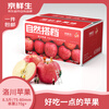 Jingxiansheng Shaanxi Luochuan Red Fuji Apple Net Weight 8.5 Jin 75-80mm Single Fruit 170g + Fresh Fruit Straight from the Source