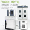 Lichen electric constant temperature blast drying oven laboratory oven industrial oven small vacuum high and low temperature test chamber vertical double door blast drying oven DGF-6BE304 stainless steel liner